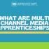 What are multi channel media apprenticeships?